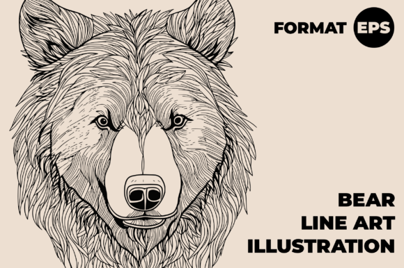 Download Bear Line Art - Bear Collection